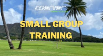 Small Group Training Sessions